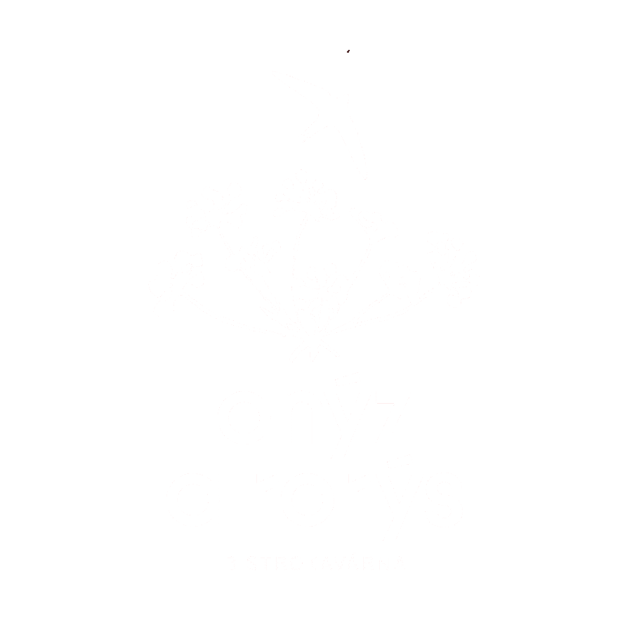 Rorýs a Anýz, bistro, kavárna
